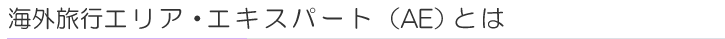 エリア・エキスパート(AE)とは